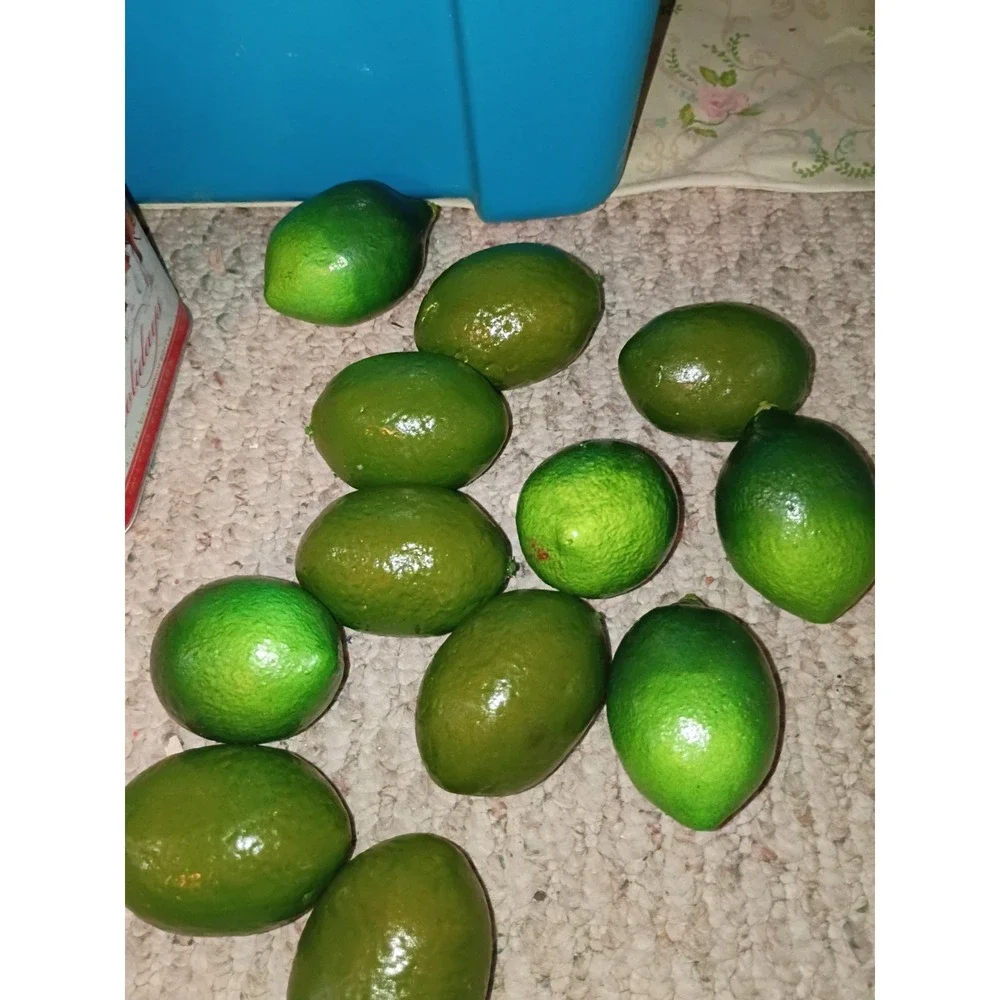 Lot of‎ 12 Realistic Green Artificial Limes Faux Fruit Decor Kitchen Display
